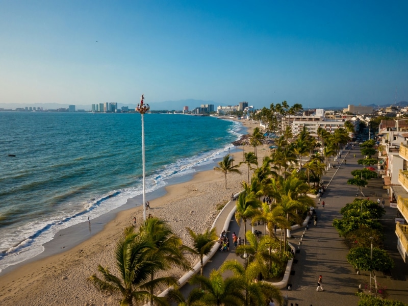 Puerto Vallarta beach and palm tree