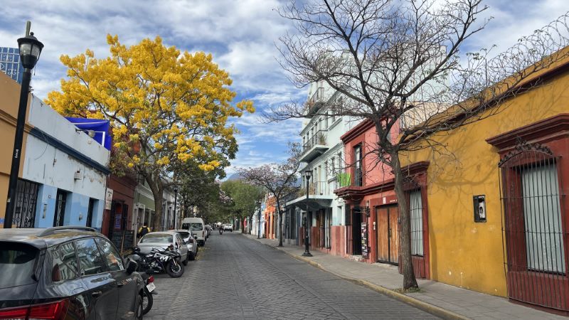 calle de Oaxaca